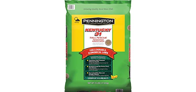 Pennington Kentucky - Tall Fescue Grass Seeds for Full Sun