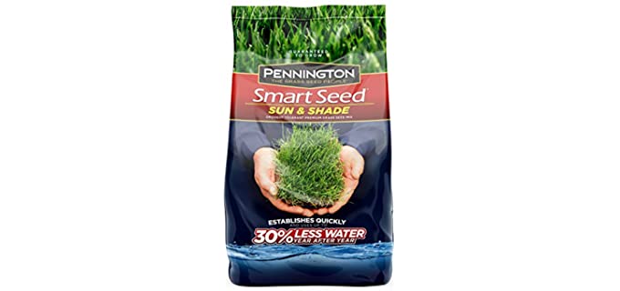 Pennington Smart Sun and Shade Grass Seed, 7 Pounds