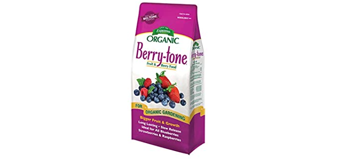 Fruit and Berry Food - Fertilizer for Blueberries