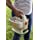 Scotts Wizz Hand-Held Spreader with EdgeGuard Technology - Apply Grass Seed, Fertilizer or Weed Control Products, Battery Powered, Holds up to 2,500 sq ft of Scotts Lawn Products