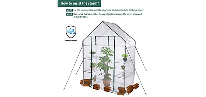 Best Indoor Greenhouses - Green Yard Magazine