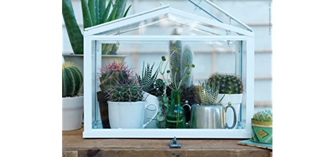 Indoor Greenhouse