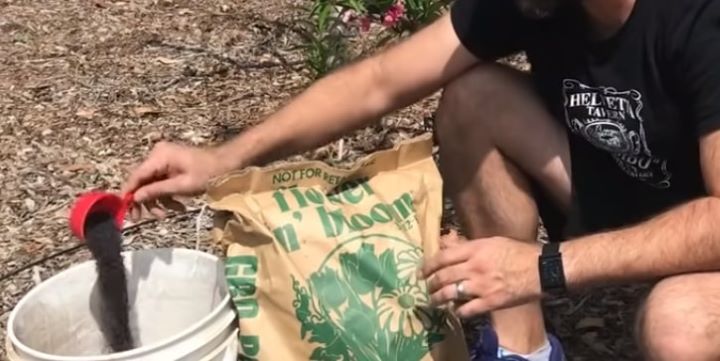 Reviewing the fertilizer if it does not contain toxic chemicals that can destroy fruit trees