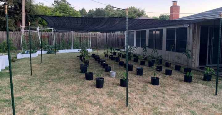 Observing the great look of the greenhouse shade cloth