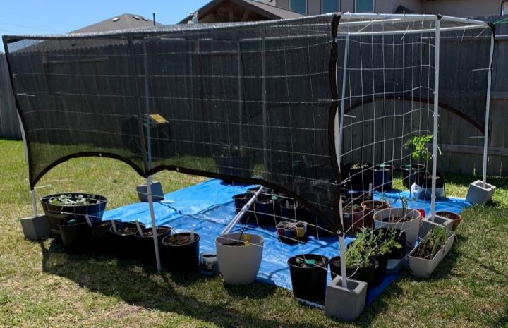 Using the black greenhouse shade cloth from Winemana