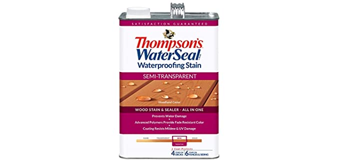 THOMPSONS WATERSEAL TH.042851-16 Semi-Transparent Waterproofing Stain, Woodland Cedar