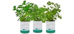 Back to the Roots New Kitchen Garden Complete Herb Kit Variety Pack of Basil, Mint, and Cilantro Seeds