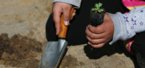 Gardening Hand Trowel