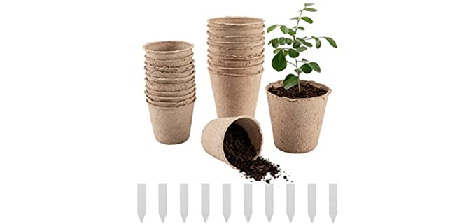 Cosweet 50 Piece - Fast Growing Potted Vegetables