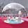 Inflatable Bubble Camping Tent 10ft Commercial Grade Outdoor Clear Dome Camping Cabin Bubble Tent with Blower for DIY Outdoor Family Backyard Camping Stargazing (10ft Transparent Tent, without Tunnel)