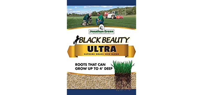 Jonathan Green Black Beauty - Grass Seeds for Full Sun