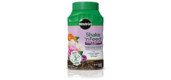 Miracle-Gro 3006806 Shake 'n Food-Promotes More Blooms and Spectacular Colors (vs. Unfed, Feeds Roses and Flowering Plants for up to 3 Months, 1 lb