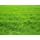 Nature's Seed TURF-LOPE-1000-F Perennial Ryegrass Seed Blend, 1,000 sq. ft