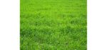 Nature's Seed TURF-LOPE-1000-F Perennial Ryegrass Seed Blend, 1,000 sq. ft