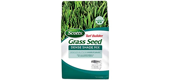 Scotts Turf Builder Grass Seed Dense Shade Mix - 7 Lb. - Grows in as Little as 3 Hours of Sunlight, Mix of Shade-Tolerant and Self-Repairing Grass Varieties, Covers up to 1,750 sq. ft.