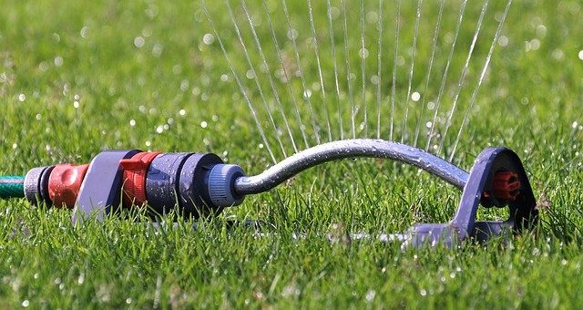 Small Lawn Sprinkler