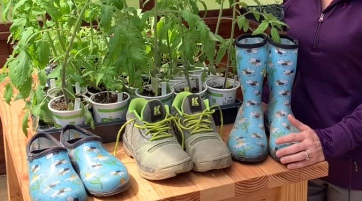 Reviewing the quality of the garden clogs