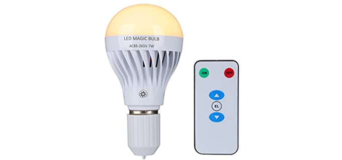 battery Operated Lightbulb