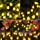 SETIFUNI Battery Operated String Lights,Christmas Lights 50 LED Globe String Lights Set for Christmas Tree Wedding Indoor Outdoor Wreath Party Garden Decoration, 24.6ft Waterproof, Warm White