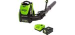 Greenworks Pro 80V (180 MPH / 610 CFM) Cordless Backpack Leaf Blower, 2.5Ah Battery and Charger Included BPB80L2510