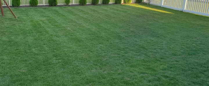 Using the organic grass fertilizer from Simple Lawn Solutions