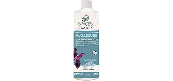 Spaces Places SALG16 16 Oz. Algaecure-Reduce Algae in Ponds, Waterfalls, and Fountains Safe Around Plants and Fish-Clears up Water, Bottle, Natural